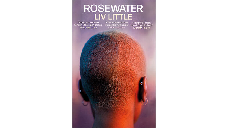 Image of Author Liv Little's book Rosewater