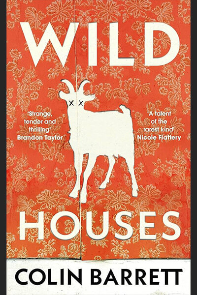 Service95 Recommends Wild Houses by Colin Barrett